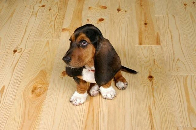 Best Hardwood Flooring for Pets
