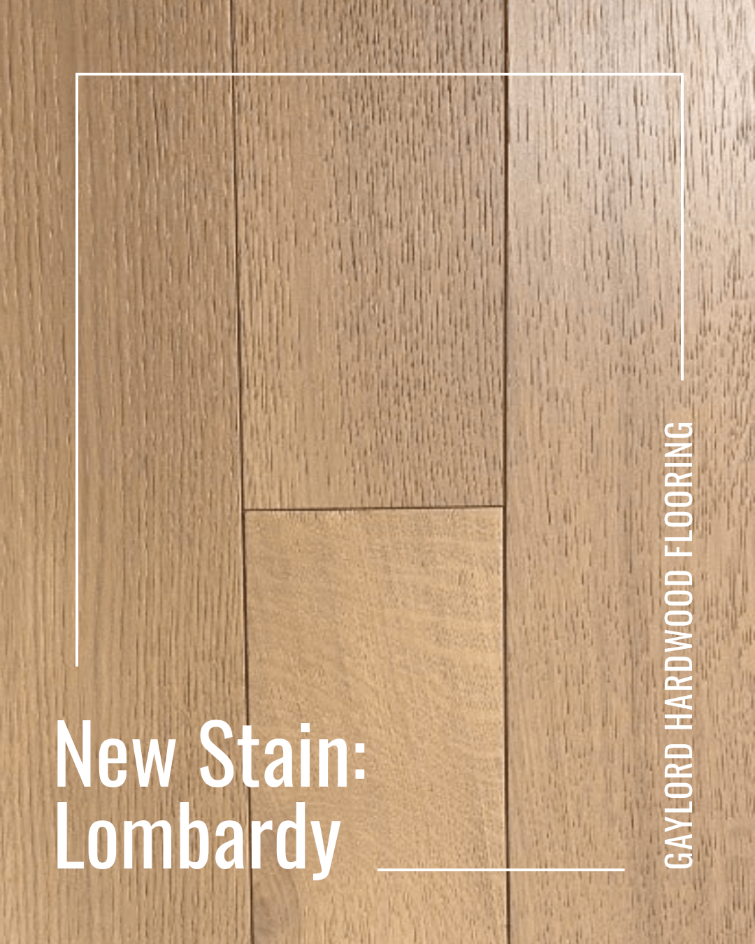 Meet our New Stain | Introducing Lombardy