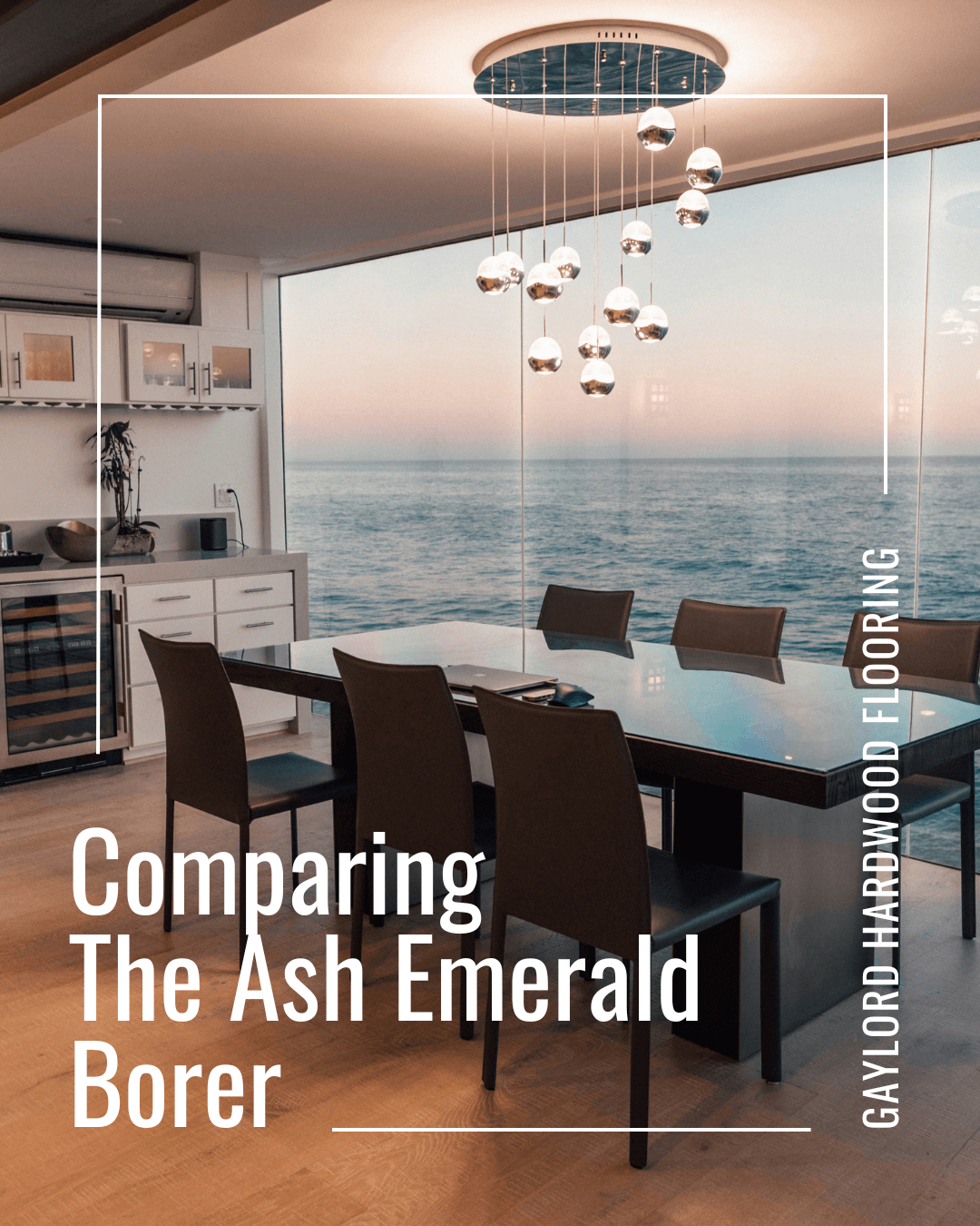 What is the Ash Emerald Borer?