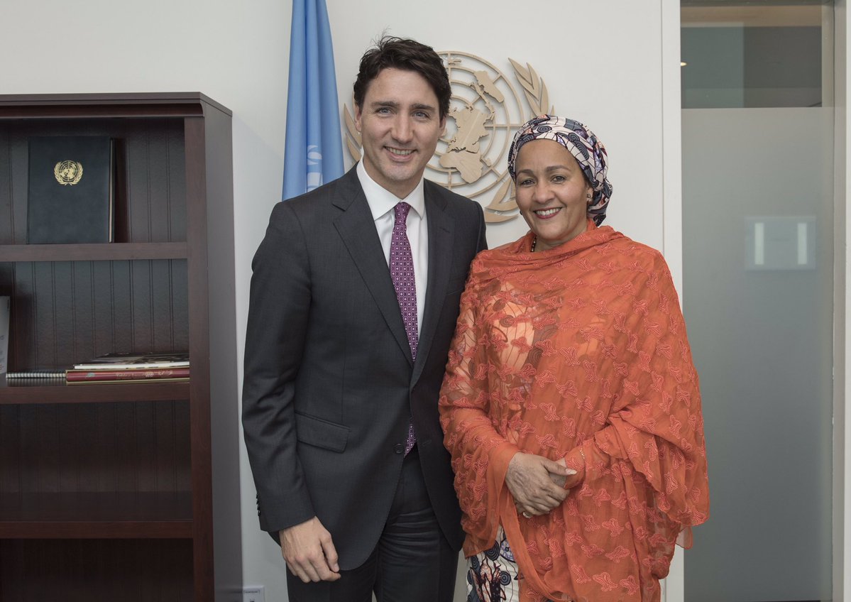 Shocking: Illegal Logging and UN Deputy Secretary General