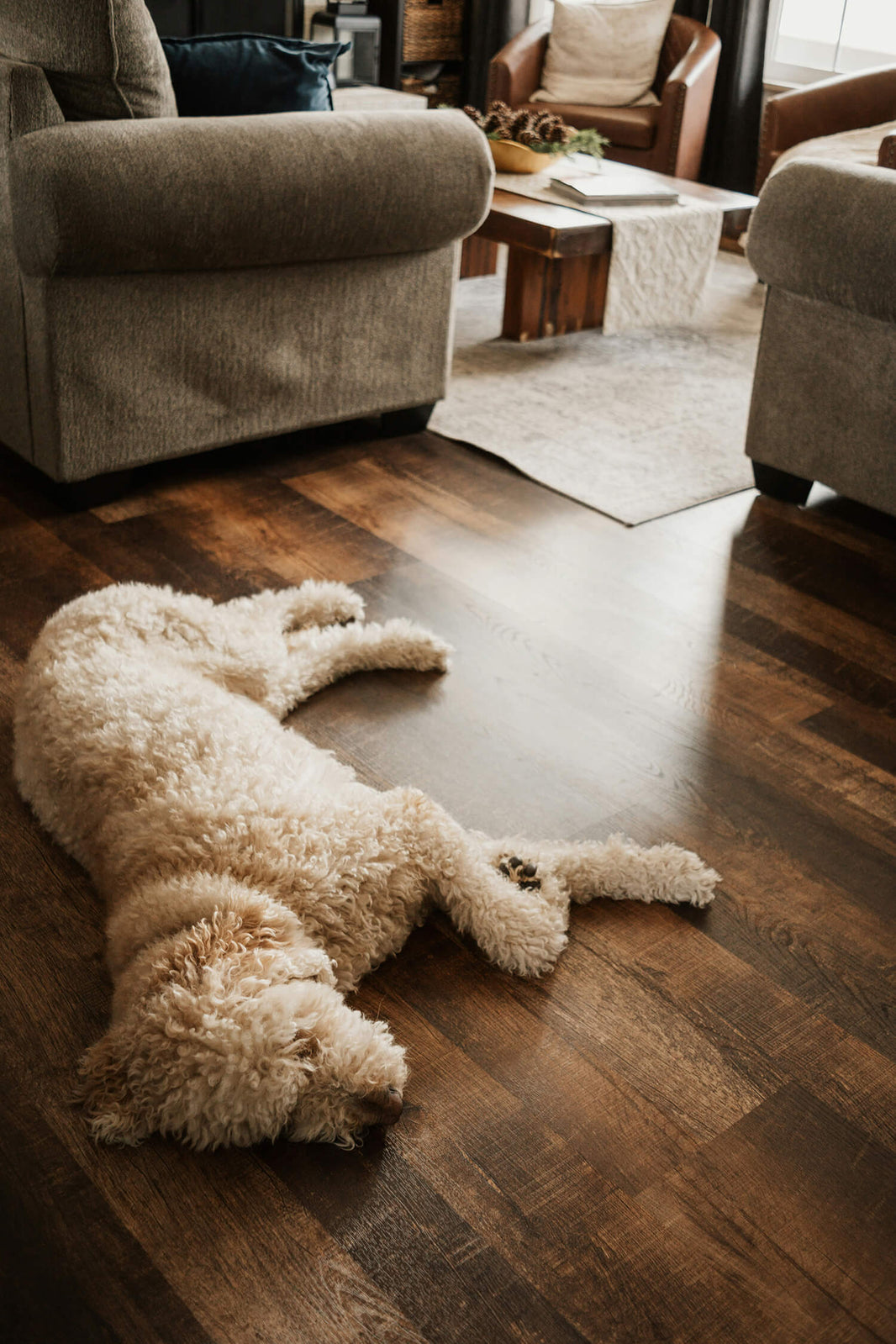 The 3 Things to Know When Buying Hardwood Flooring With Dogs