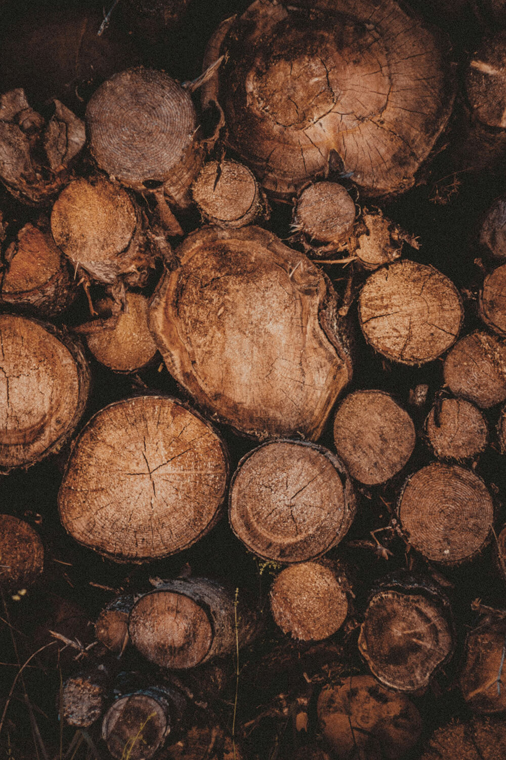 Different cuts of oak for flooring
