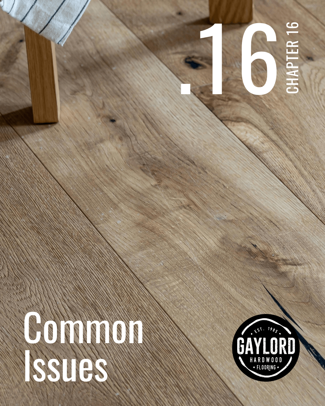 Chapter 16 | Common Issues