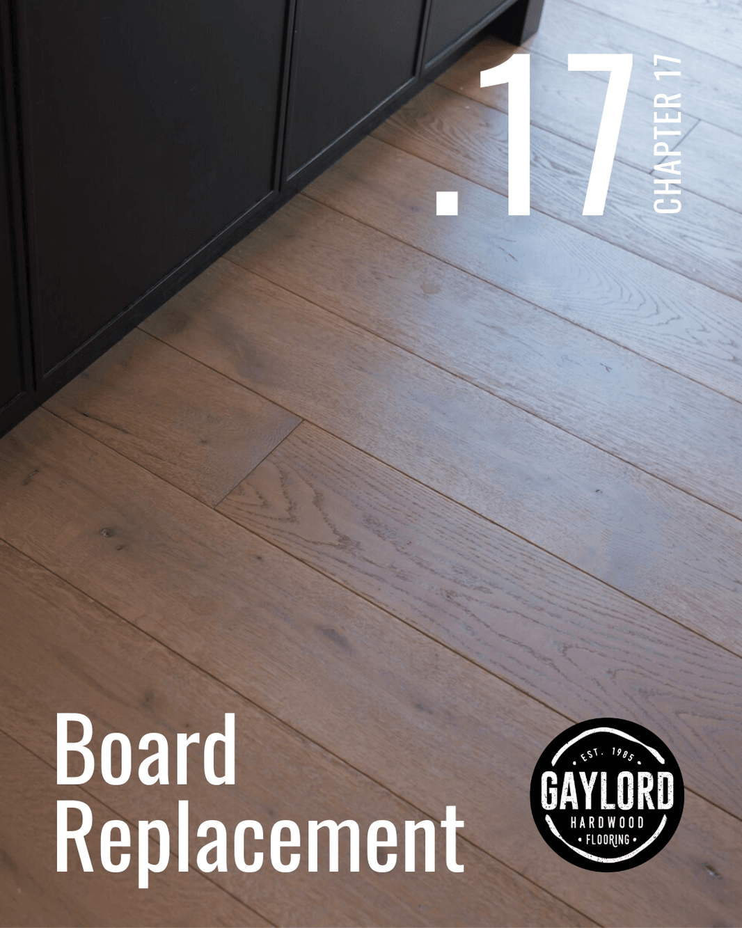 Chapter 17 | Board Replacement