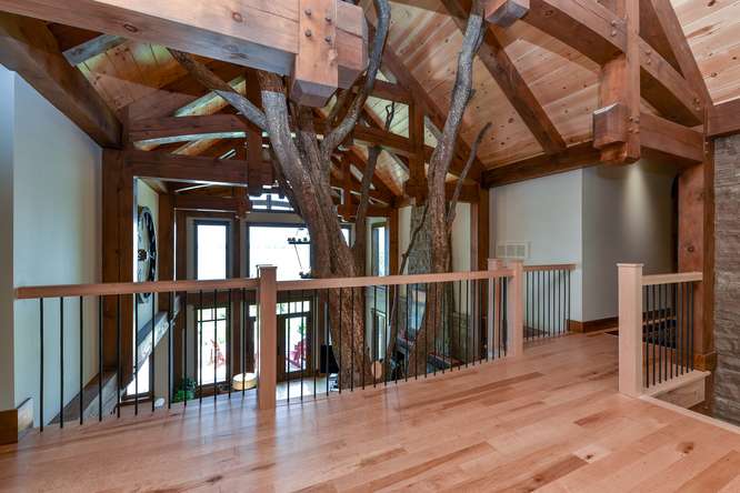 Maple Hardwood Flooring - Gaylord Wide Plank Flooring 