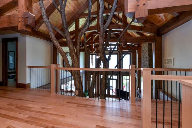 Maple Hardwood Flooring - Gaylord Wide Plank Flooring 