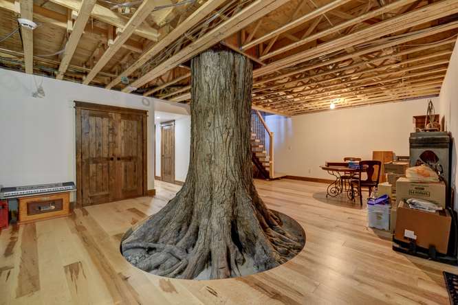 Maple Hardwood Flooring - Gaylord Wide Plank Flooring 