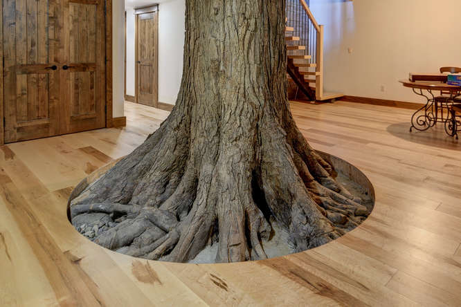 Maple Hardwood Flooring - Gaylord Wide Plank Flooring 