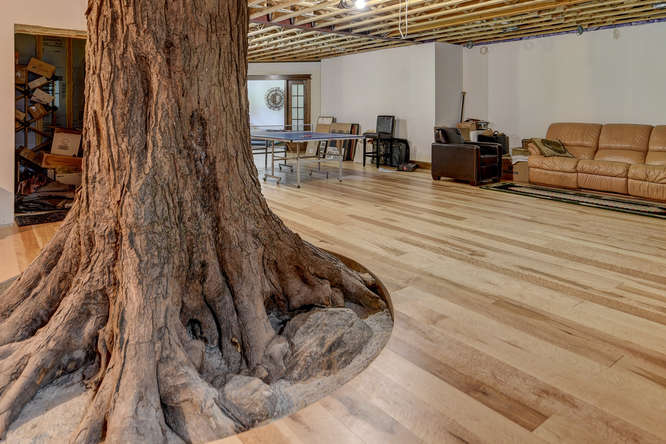 Maple Hardwood Flooring - Gaylord Wide Plank Flooring 