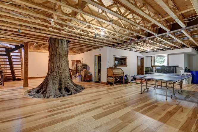 Maple Hardwood Flooring - Gaylord Wide Plank Flooring 