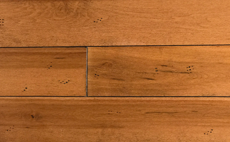 Maple Hardwood Flooring - Gaylord Wide Plank Flooring 