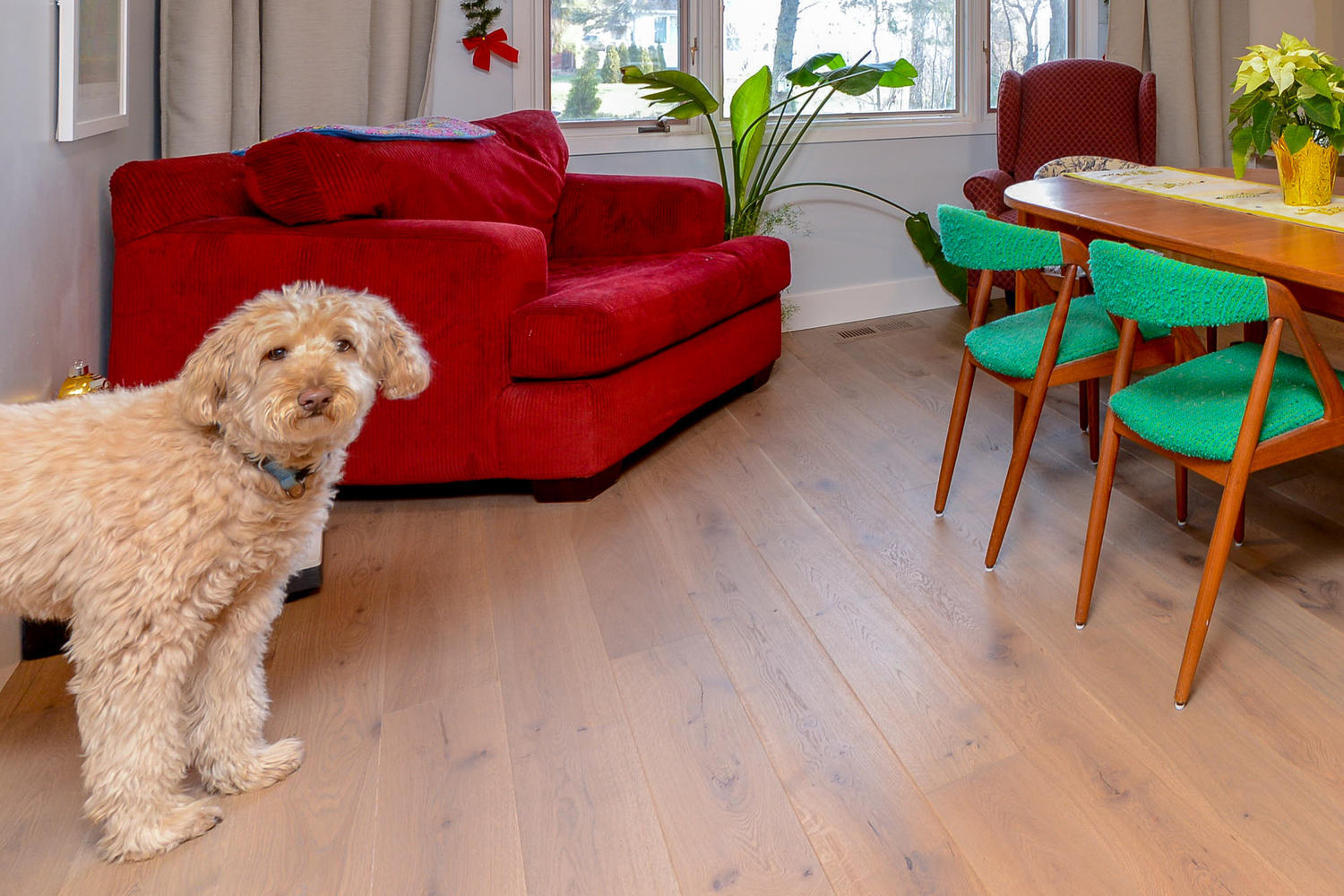 White Oak Hardwood Flooring - Gaylord Wide Plank Flooring 